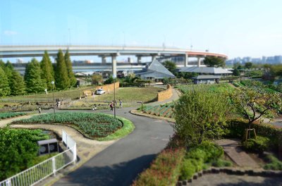 🏞️ 아다치 도시농업공원 (아다치쿠토시노교코엔) 이미지 2